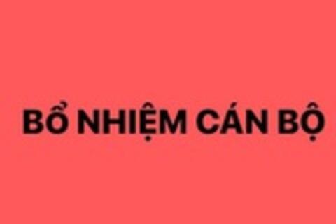 Bổ nhiệm 2 Phó Vụ trưởng Vụ Kinh tế tổng hợp