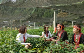 Agribank đầu tư nguồn lực thúc đẩy tài chính toàn diện, xây dựng nông thôn mới