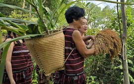 Công bố thêm 11 di sản văn hóa phi vật thể Quốc gia
