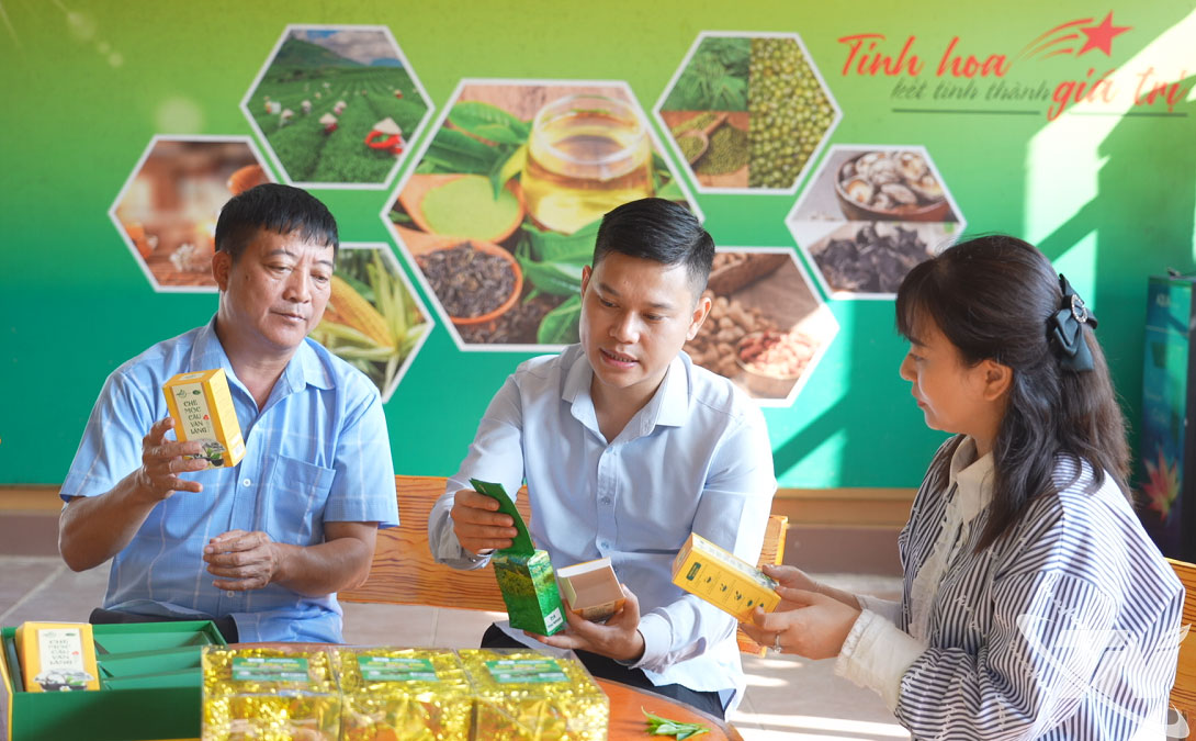 Anh Phạm Tiến Đạt (giữa), Giám đốc HTX Dịch vụ nông lâm nghiệp Văn Lăng, giới thiệu sản phẩm chè được sản xuất theo quy trình mới.