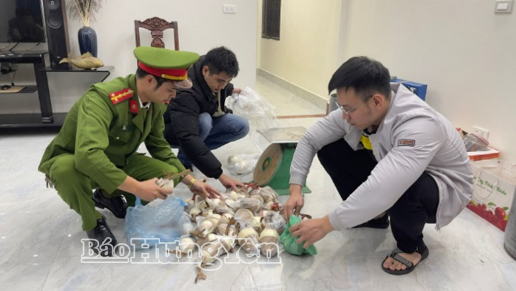 Công an xã Bình Nguyên thu giữ 13,2kg pháo nổ do Phạm Đức Long (sinh năm 1988, trú tại xã Bình Nguyên) tự sản xuất trái phép tại nhà riêng.