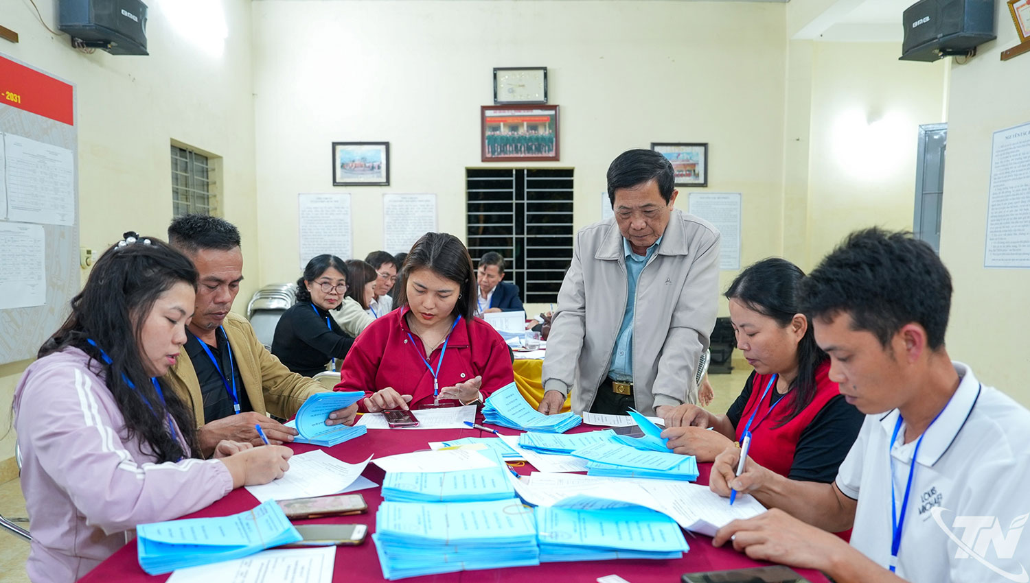 Phiếu bầu được chia thành các nhóm theo quy định.