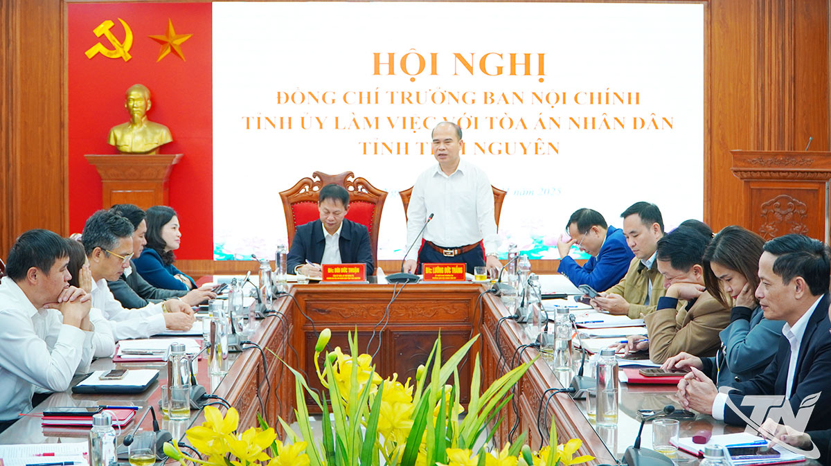 Đồng chí Lường Đức Thắng, Ủy viên Ban Thường vụ, Trưởng Ban Nội chính Tỉnh ủy, phát biểu tại buổi làm việc.