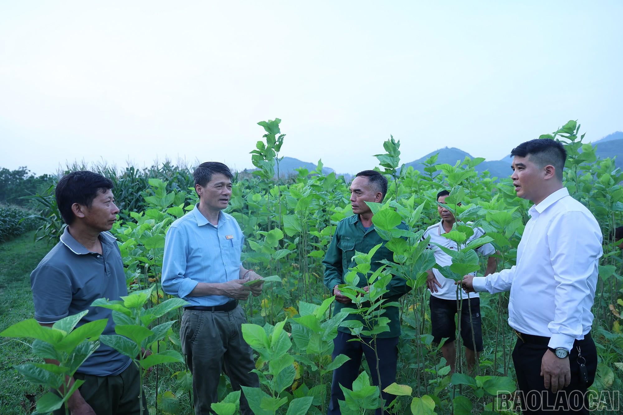Thường trực Đảng ủy xã Cam Cọn vận động người dân tham gia mô hình trồng dâu nuôi tằm tại địa phương. (Đồng chí Hồ Viết Hùng đứng thứ 2 từ trái sang). baolaocai-br_img-9501.jpg