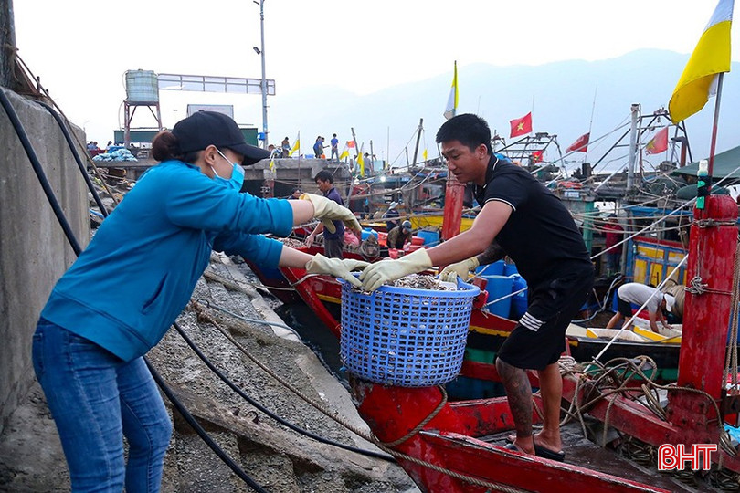 Truy xuất nguồn gốc điện tử tạo điều kiện để giám sát sản lượng khai thác. bqbht_br_img-1369.jpg