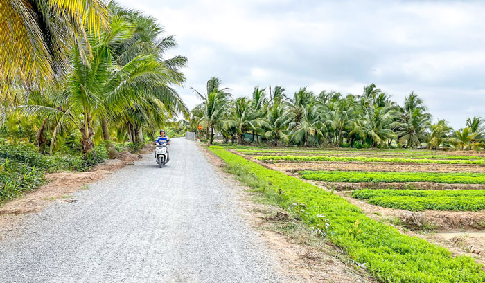 Tuyến đường nông thôn dài hơn 1.100m ở ấp Cây Da được xây dựng từ sự đồng thuận hiến đất của 15 hộ đồng bào Khmer.