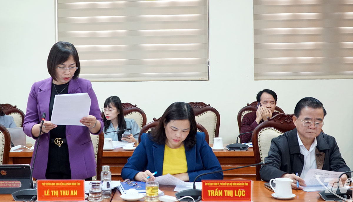 Đại diện Ban Kinh tế - Ngân sách, HĐND tỉnh báo cáo tại hội nghị.