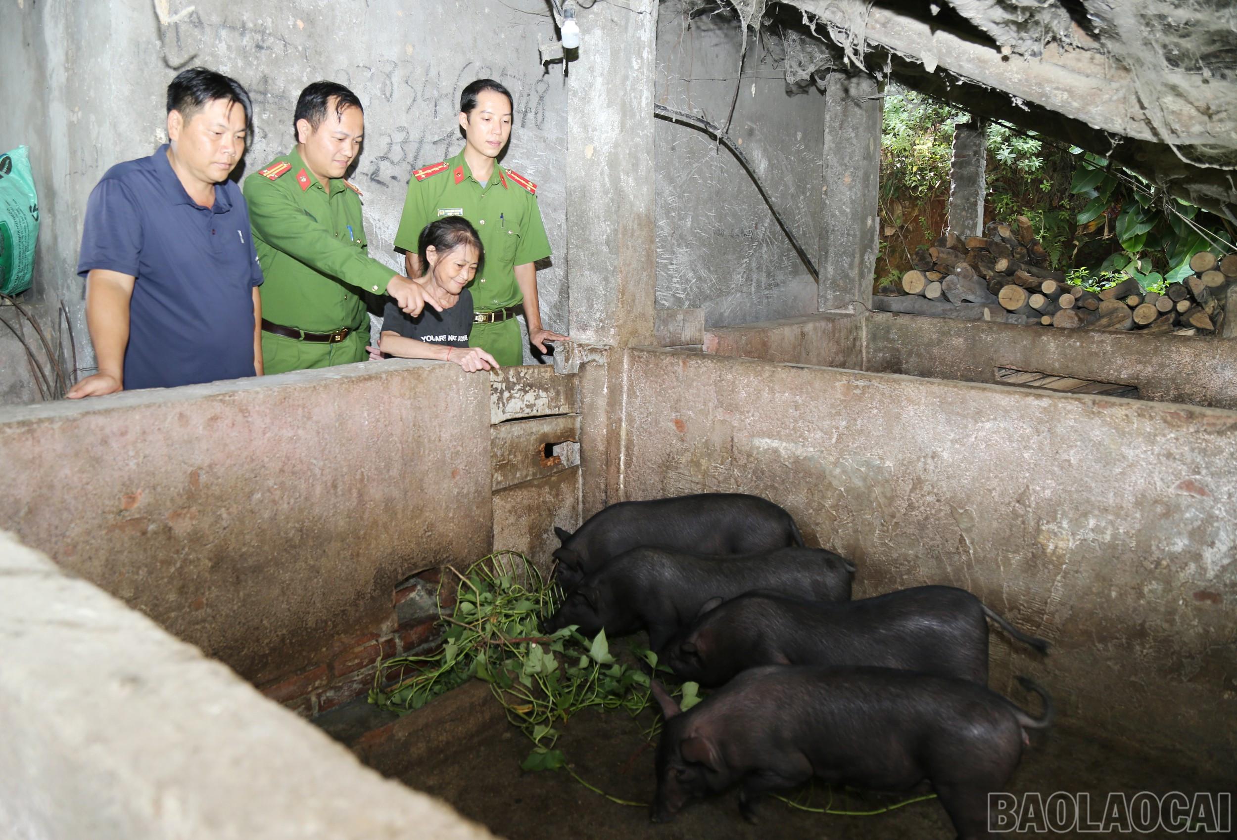 Mô hình “Công an xã chung tay giúp đỡ hộ nghèo” của Công an xã Quang Kim, huyện Bát Xát. baolaocai-br_0899-1.jpg