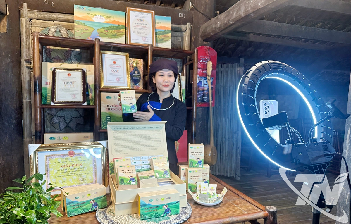 HTX Nông sản Phú Lương tổ chức livestream bán hàng trên nền tảng số, góp phần mở rộng thị trường tiêu thụ và nâng cao doanh thu.