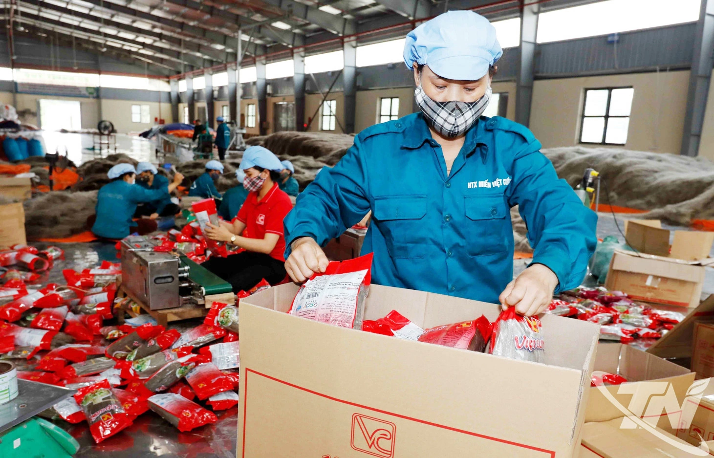 Trong quá trình sản xuất, HTX miến Việt Cường (xã Đồng Hỷ) luôn chú trọng kiểm soát chặt chẽ chất lượng các sản phẩm.