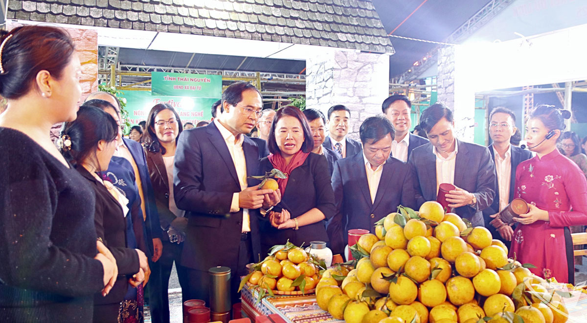 Các đồng chí lãnh đạo tỉnh tham quan một gian hàng tại 