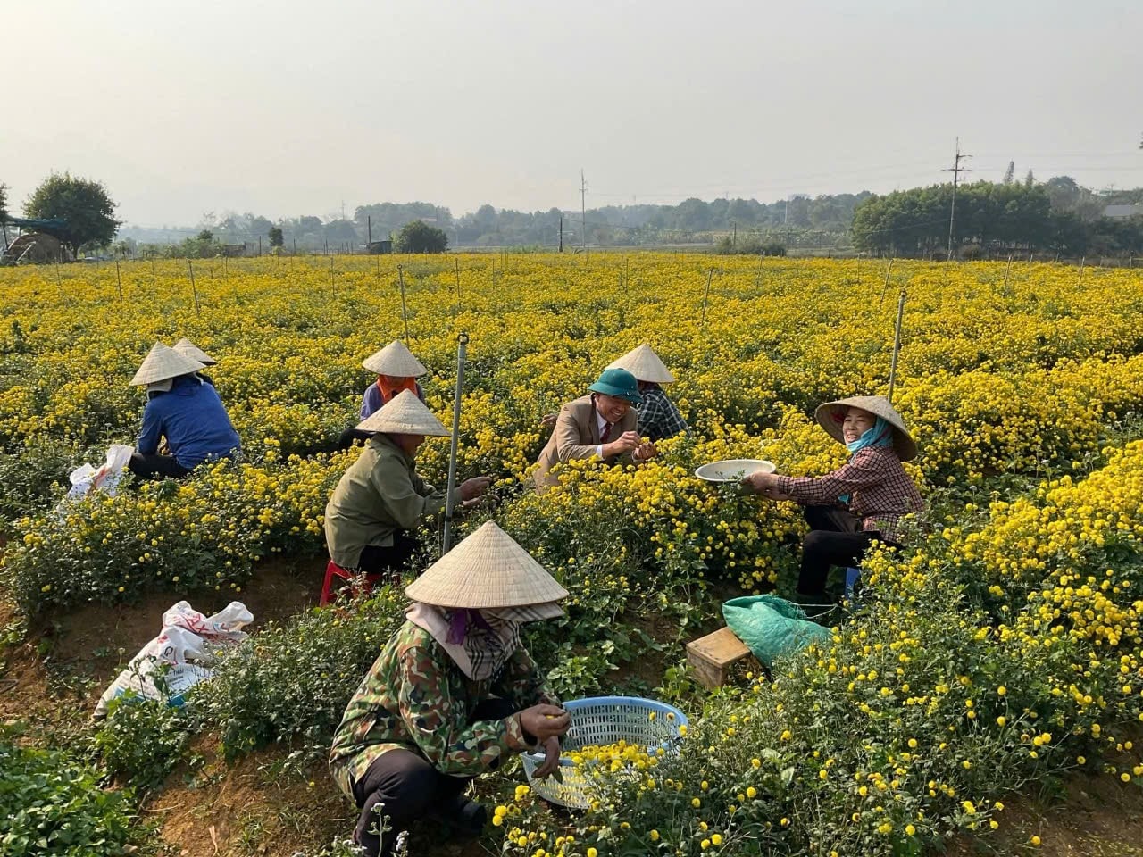 son-tay-tungthien01.jpg