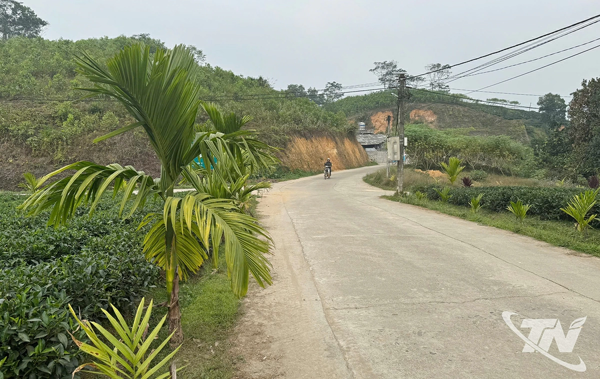 Nhờ chương trình hỗ trợ xi măng, nhiều tuyến đường nông thôn trên địa bàn tỉnh được mở rộng, cứng hóa.