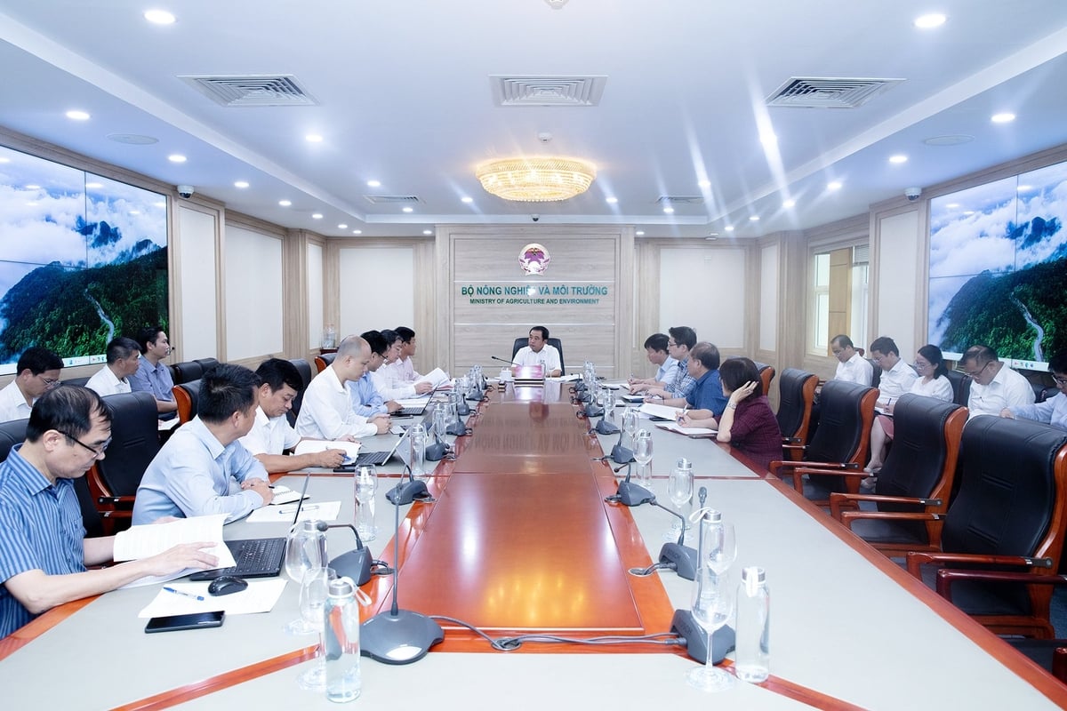 Toàn cảnh cuộc họp ngày 22/7. Ảnh: Khương Trung.