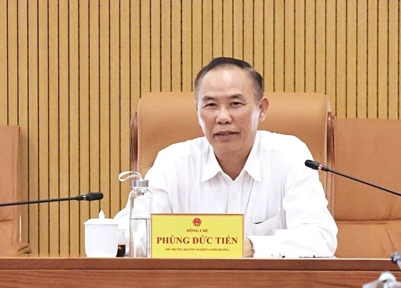 Thứ trưởng Phùng Đức Tiến phát biểu chỉ đạo cuộc họp. Ảnh: Nguyễn Thủy.