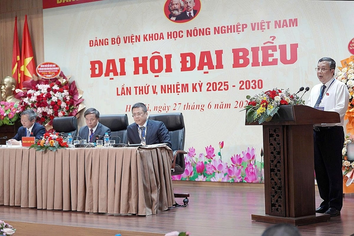 Thứ trưởng Hoàng Trung: VAAS cần đóng vai trò trung tâm, kết nối tam giác 'nghiên cứu - doanh nghiệp - vùng nguyên liệu'. Ảnh: Bảo Thắng.