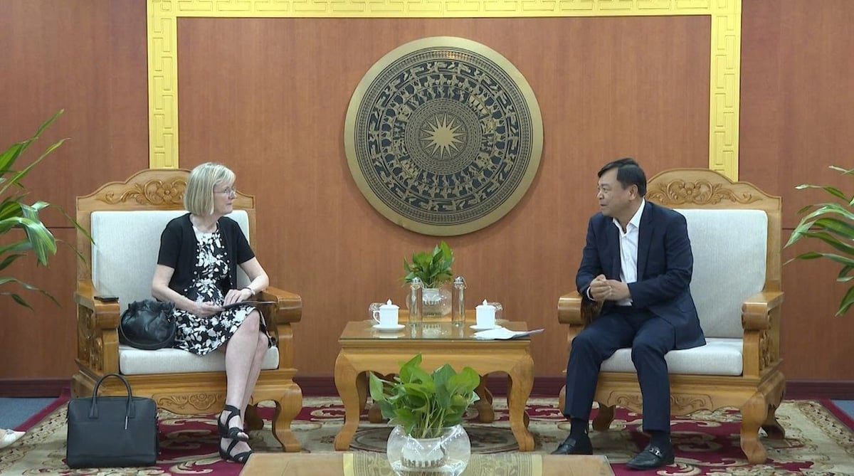 Thứ trưởng Nguyễn Hoàng Hiệp tiếp và làm việc với Đại sứ Gillian Bird ngày 27/6. Ảnh: Đức Việt. 