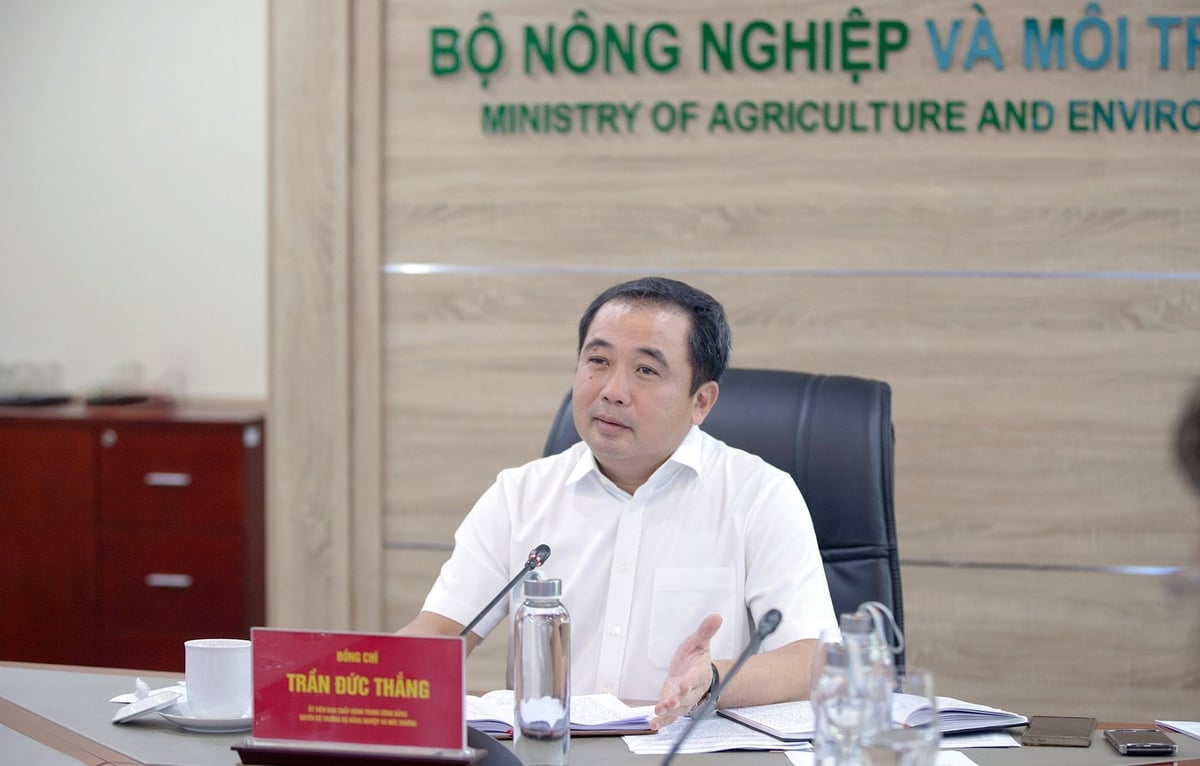 Quyền Bộ trưởng Bộ Nông nghiệp và Môi trường Trần Đức Thắng chủ trì cuộc họp triển khai xây dựng, sửa đổi các văn bản chính sách liên quan đến lĩnh vực đất đai và khoáng sản. Ảnh: Khương Trung.