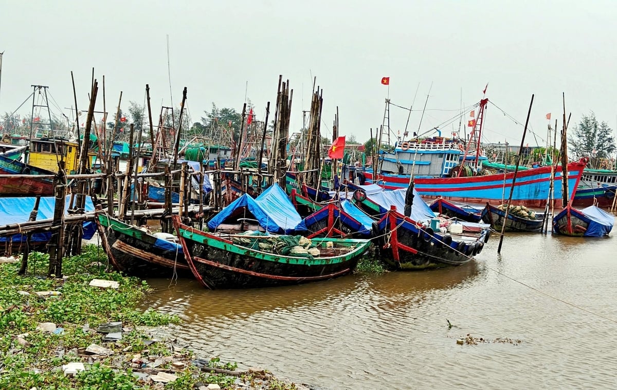 Toàn bộ tàu thuyền tại cảng cá Quần Vinh đã vào khu neo đậu an toàn. Ảnh: Bảo Thắng.