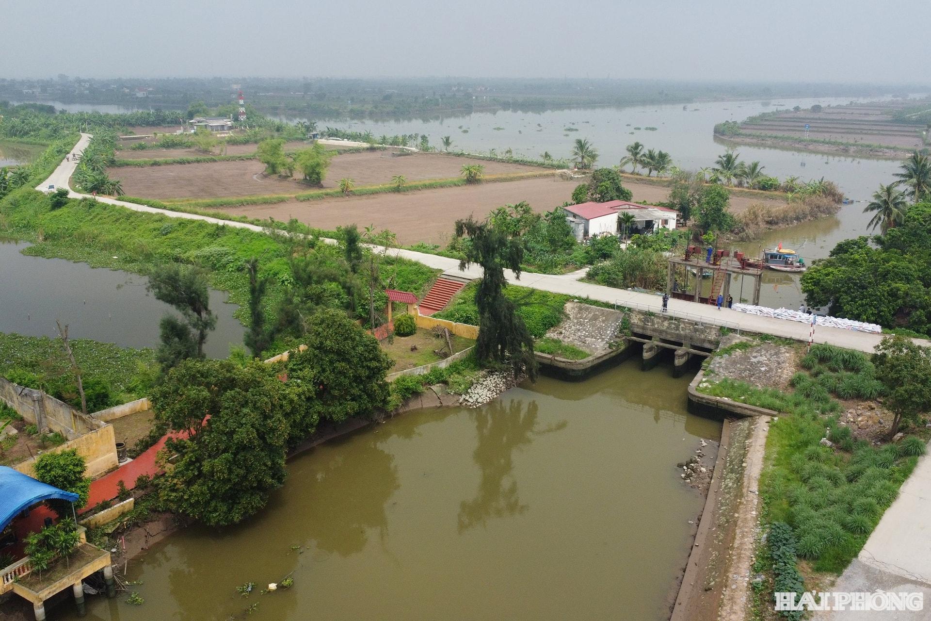 Hải Phòng có trên 700 km tuyến đê sông và đê biển cùng cống trên đê, hệ thống tiêu thoát nước (gồm Đông và Tây Hải Phòng) bảo vệ cho hàng nghìn ha đất nông nghiệp và người dân sống trong đê. Trong ảnh: Tuyến đê qua khu vực xã Quyết Thắng, Thanh Hà.