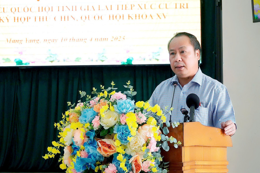 Phó Bí thư Thường trực Tỉnh ủy, Trưởng đoàn đại biểu Quốc hội tỉnh phát biểu tại hội nghị. Ảnh: Đ.T z6490948085582-74031abfcb867ba7d3f8e0259214c262.jpg
