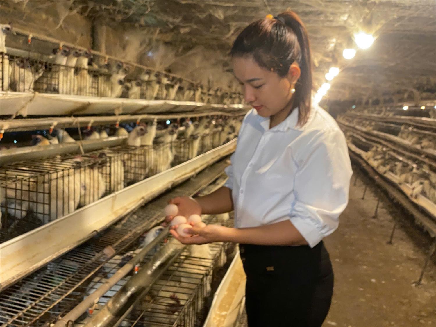 Mô hình nuôi gà ác đẻ trứng của chị Nhân mang lại hiệu quả cao. Mô hình nuôi gà ác đẻ trứng của chị Nhân mang lại hiệu quả cao.