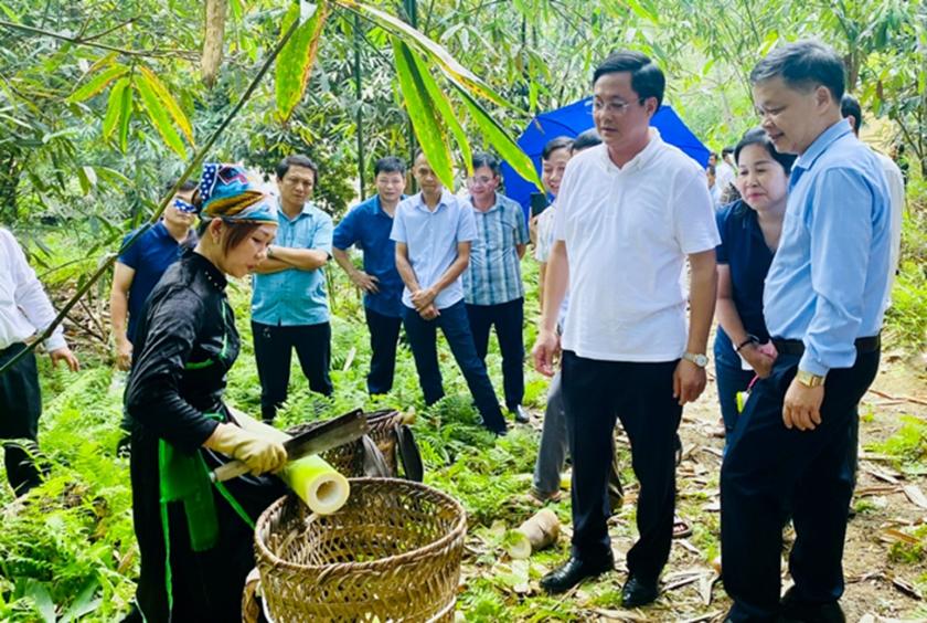 Vùng trồng tre Bát Độ tại xã Kiên Thành, huyện Trấn Yên đã trở thành điểm tham quan học tập kinh nghiệm của nhiều địa phương trong và ngoài tỉnh Vùng trồng tre Bát Độ tại xã Kiên Thành, huyện Trấn Yên đã trở thành điểm tham quan học tập kinh nghiệm của nhiều địa phương trong và ngoài tỉnh