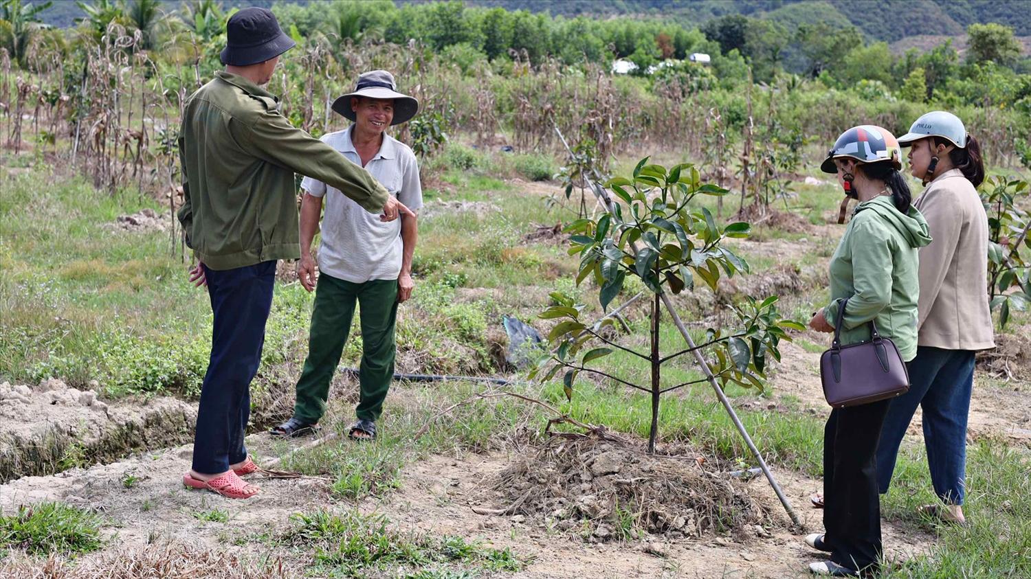 Đa dạng hóa sinh kế là một trọng những giải pháp quan trọng trong giảm nghèo ở Lâm Đồng. Đa dạng hóa sinh kế là một trọng những giải pháp quan trọng trong giảm nghèo ở Lâm Đồng.